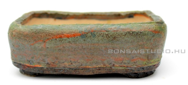 shohin bonsaital a marczika bonsai studio kinalatabol a marczika bonsai studio webaruhazabol